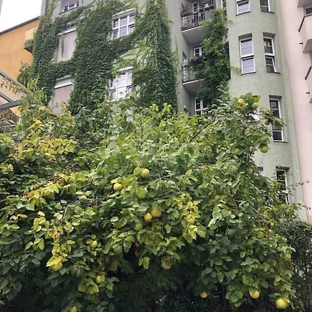 Emily's Eastgate Garden Suites Apartament