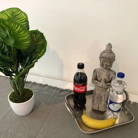 Διαμέρισμα Emily's Eastgate Garden Suites Νυρεμβέργη